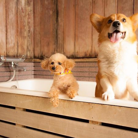 Izumigo Takayama Dog Paradise Hotel Exterior photo