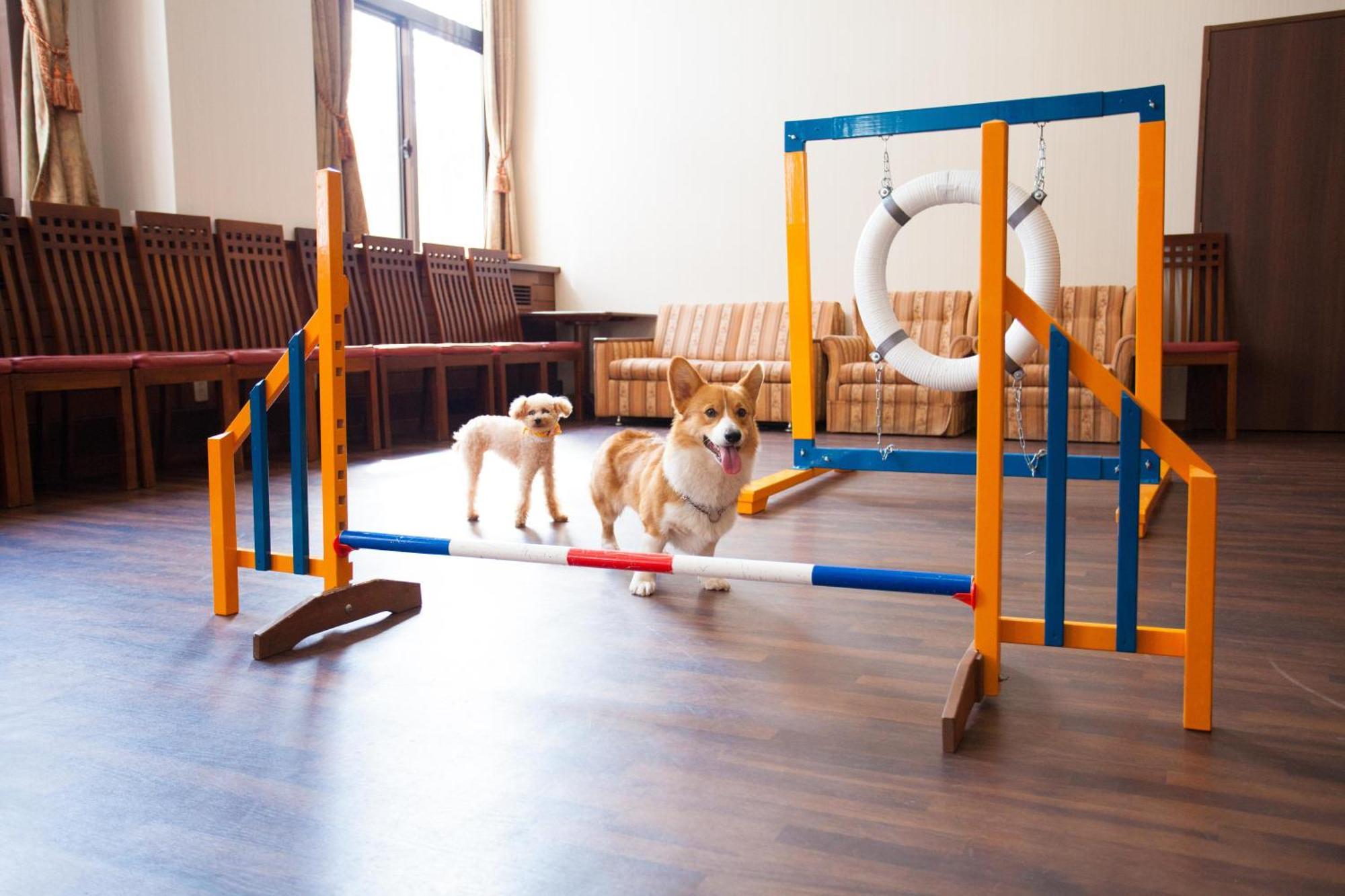 Izumigo Takayama Dog Paradise Hotel Exterior photo